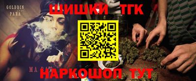 стаф Тула