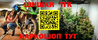 стаф Тула
