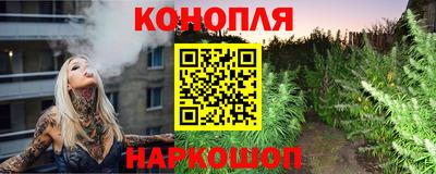 стаф Тула