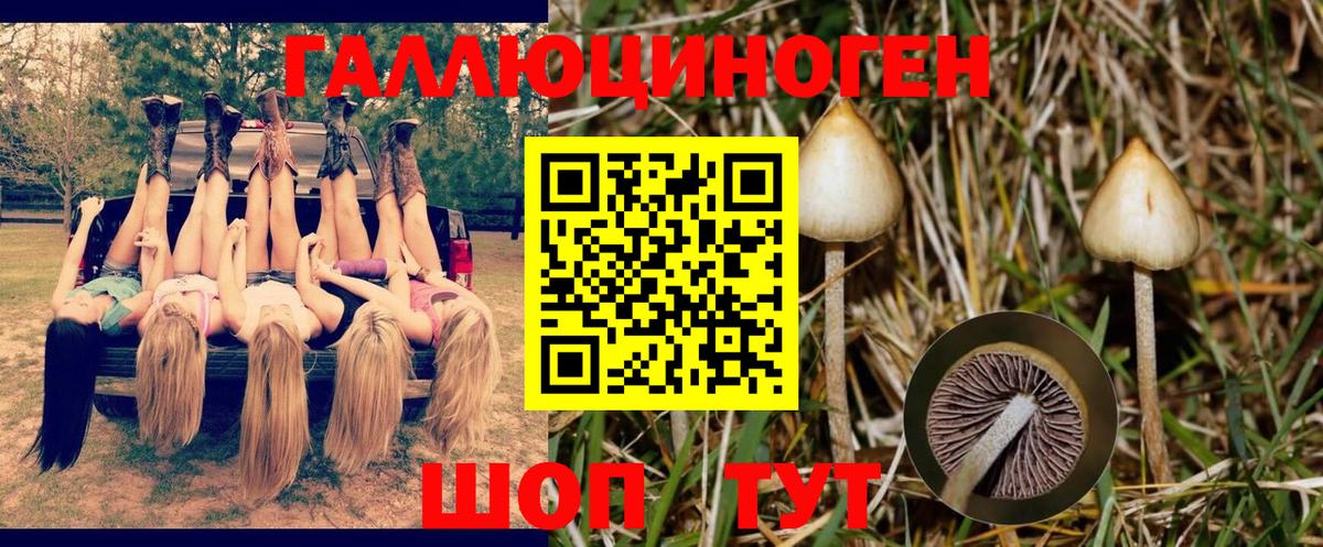 Боровичи  Галлюциногенные грибы Psilocybe  Галлюциногенные грибы Magic Shrooms  где можно купить   Вход с VPN 