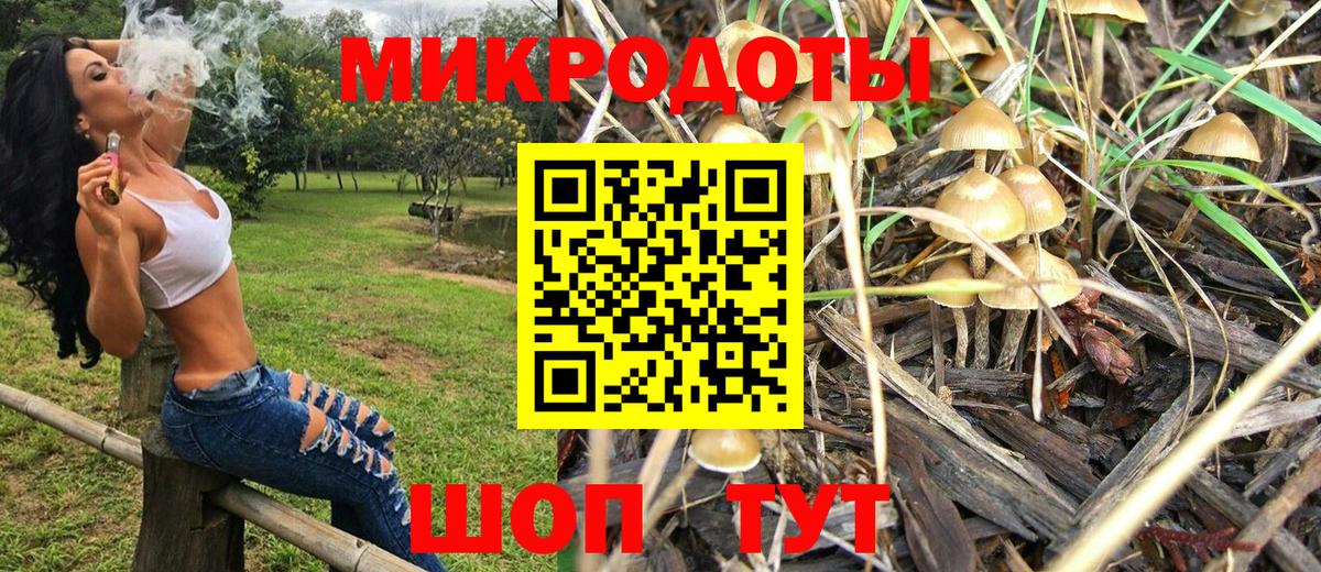 Псилоцибиновые грибы прущие грибы Боровичи